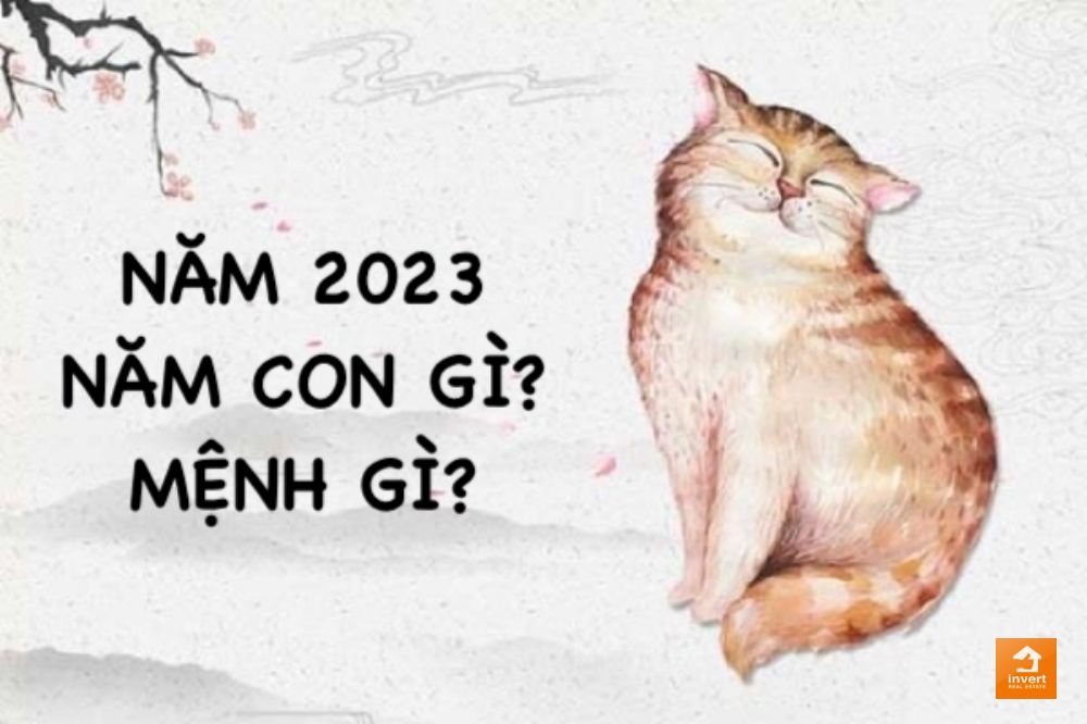 2023-menh-gi