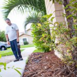 Pest Control in Madison, MS: Safeguarding Your Home and Business 2023
